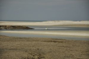 BASS HOLE GRAY'S BEACH cr William DeSousa-Mauk (14)