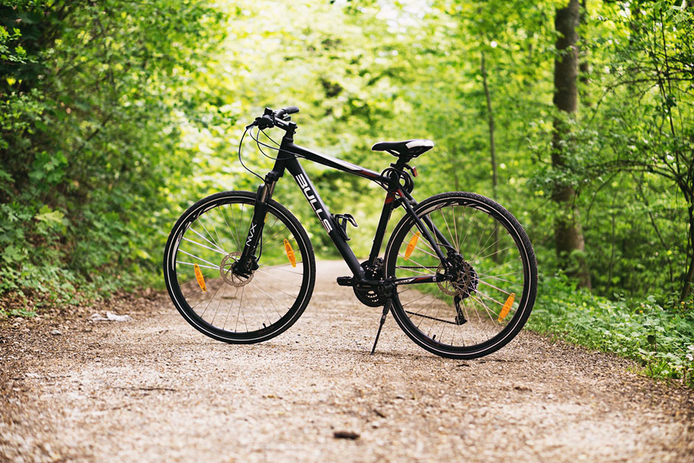 bicycle in the forest