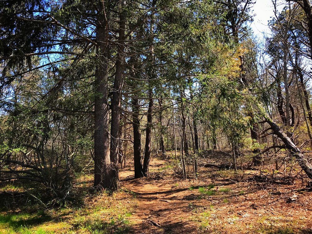 hiking trail