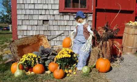 Scarecrow on haystack with pumpkins