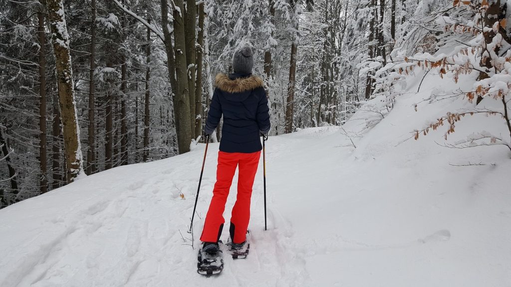 snowshoeing in the woods