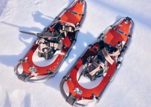 snowshoes